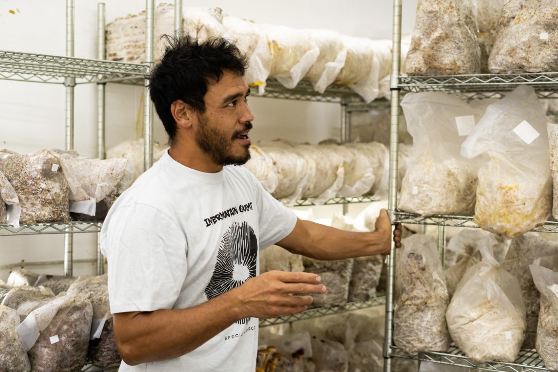Intermountain Gourmet Mushrooms (7)